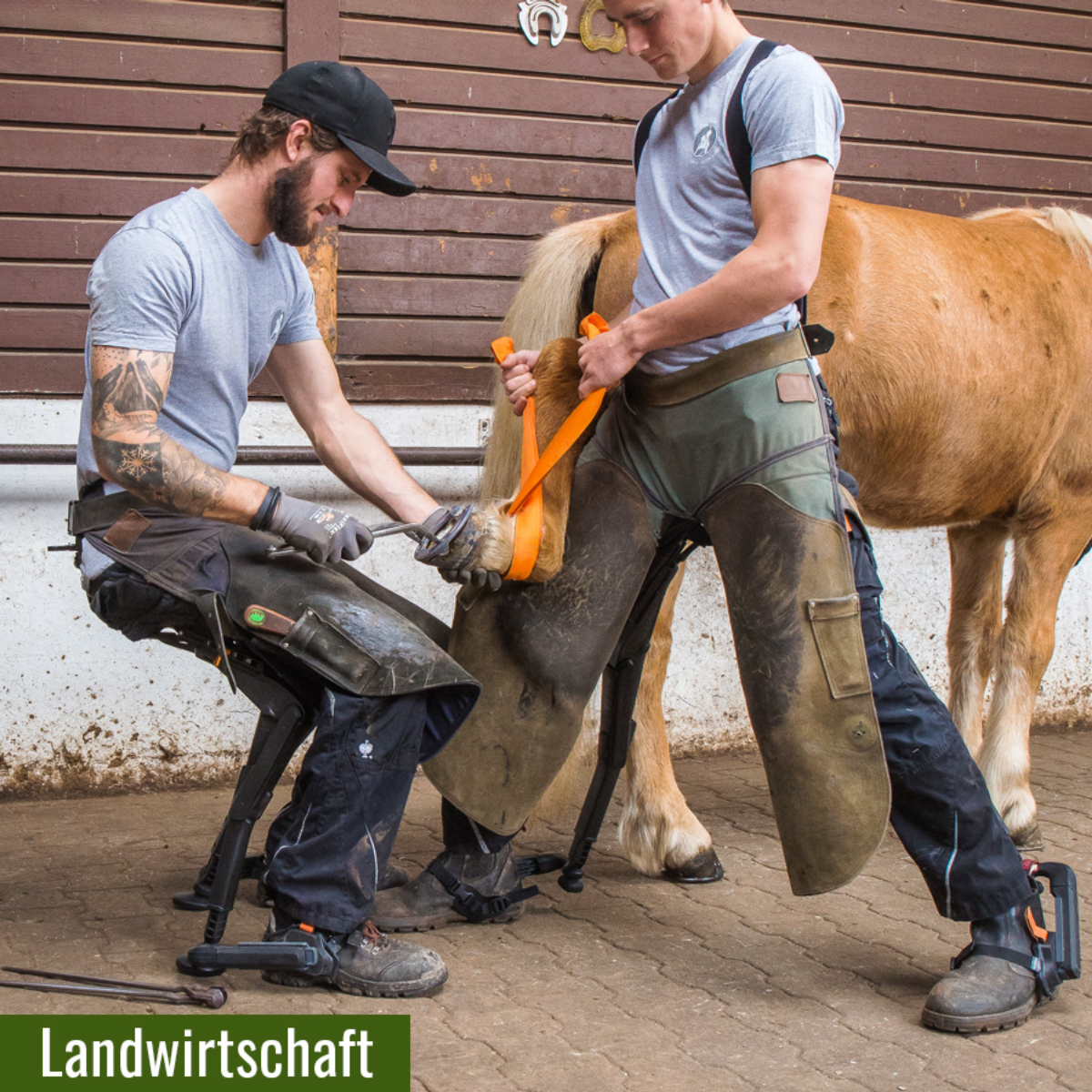 Landwirtschaft