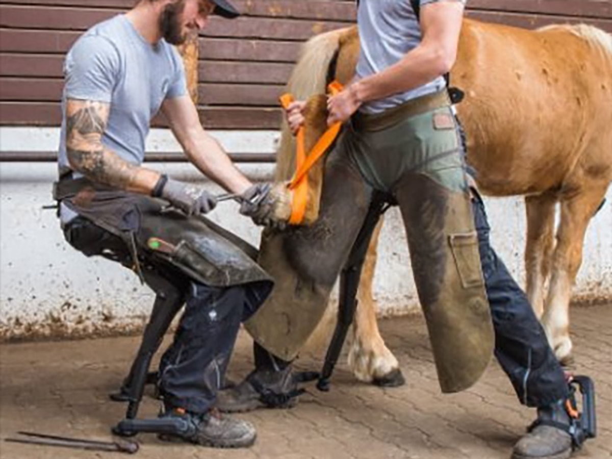  Two men, one standing and one sitting, are both using Chairless Chairs to easily shoe a horse.