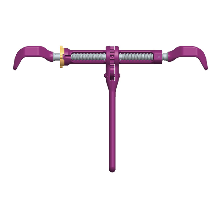 Ratschenspanner ICE-CURT mit Spannlaschen