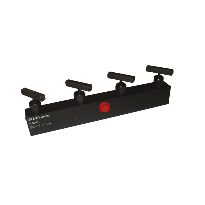 Controlled manifold type HMC